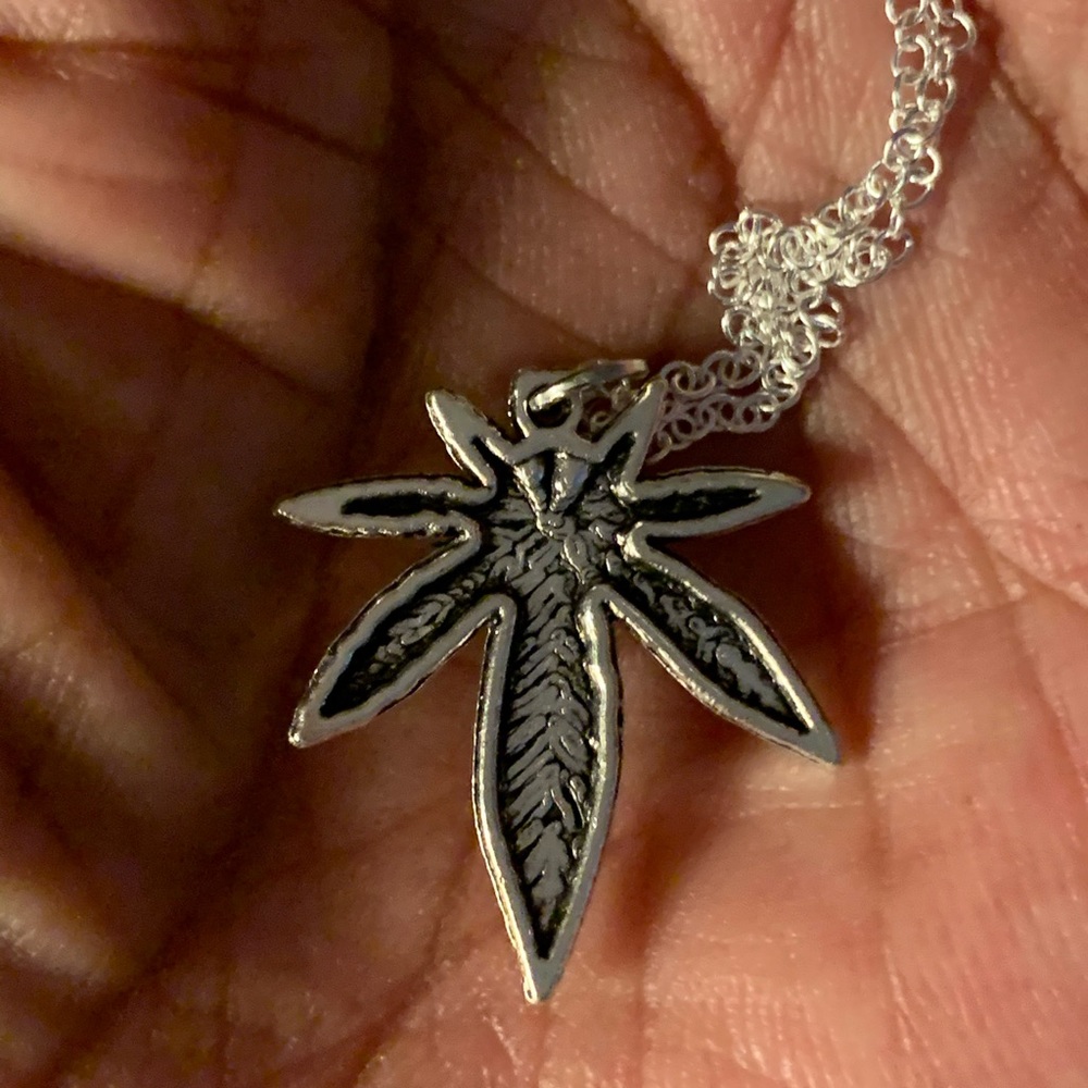 Pendant Necklace Charm - Picture 2 of 3